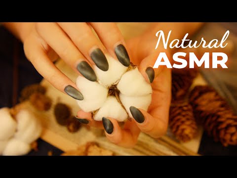 ASMR Naturally Relaxing Triggers for Sleep (No Talking)