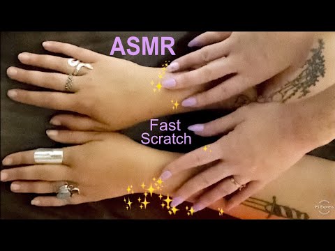 ASMR Fast Arm Scratch + Celebrity Guest 🖤