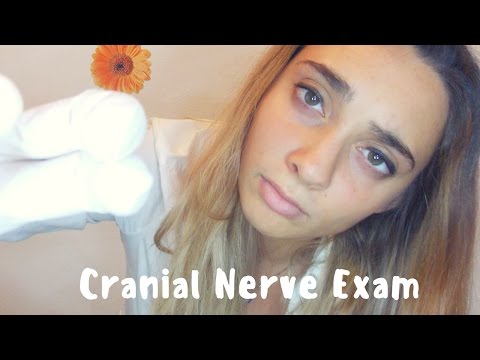 ASMR Cranial Nerve Exam Roleplay | Personal Attention