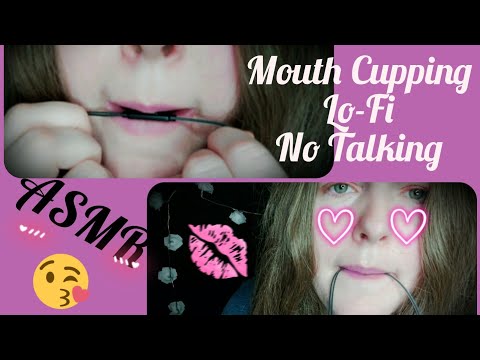 [ASMR] Mouth Cupping ~ Mouth Sounds, Lo-Fi, Tingly [NO TALKING]