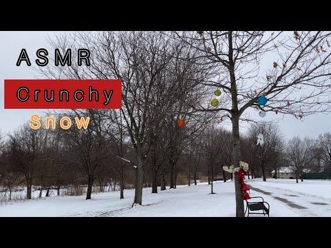 ASMR Crunchy Sounds No Talking Snow (Walking Sounds)