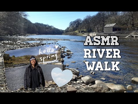 ASMR: Woodland & River Walk 🌳 (Water Sounds) [Lo-Fi, No Talking]