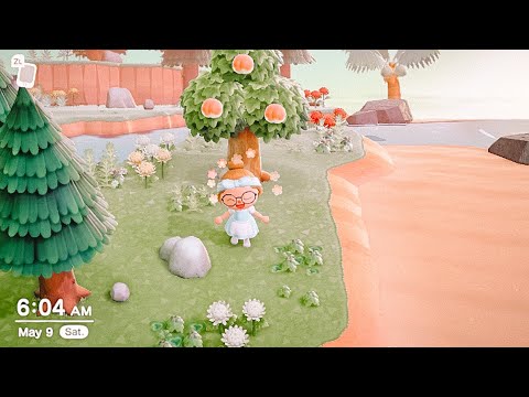 ASMR NMT | Animal Crossing New Horizons