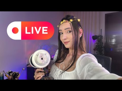 🤍LIVE ASMR🤍enchanted tuctuc