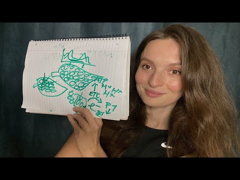 ASMR Talking About Photosynthesis | Teacher Roleplay, Marker Pen & Paper, Drawing, Soft Explanations