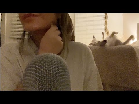 ASMR Clip of my Silken Windhound | Lily Whispers ASMR