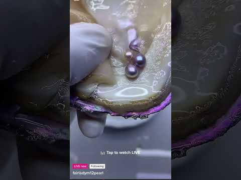 Have you seen mother of pearl give birth before? #asmr #satisfying #ddlysatisfying #motherofpearl