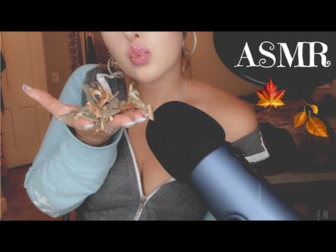 ASMR | Tingly crunch sounds, mouth sounds & mic scratching to help you sleep ✨😴