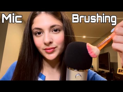 ASMR Mouth Sounds + Mic Brushing + Hand Movements