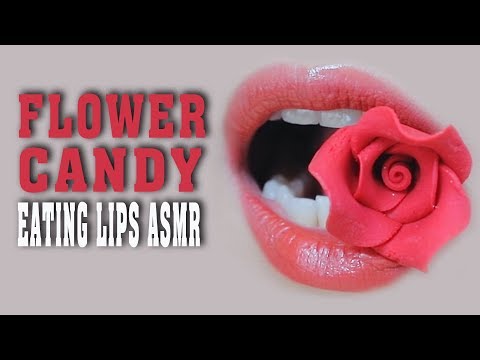 ASMR EATING LIPS ASMR | SUGAR FLOWER , EATING SOUNDS | LINH-ASMR