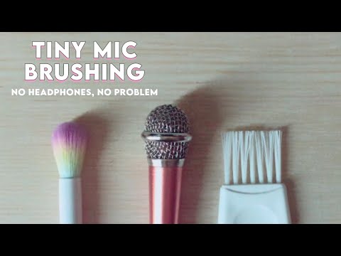 ASMR For People With No Headphones [LoFi Tiny Mic Brushing] | NO TALKING