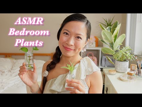 ASMR 🏡  Show & Tell Rambling & Chit Chat : My Bedroom Plants Tour 🌱