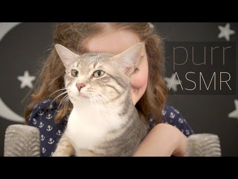 🐱 ASMR 😺 Healing Cat Purrs For When You Are ill 🤒