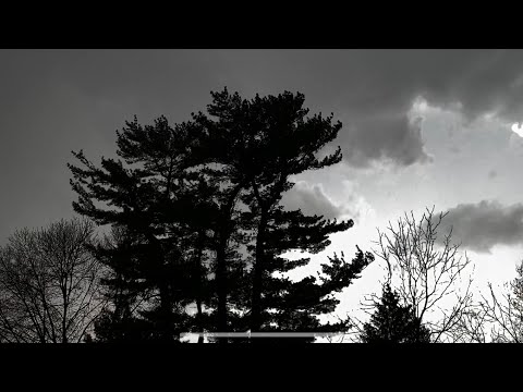Stormy Day • Wind ~ Rain ☔️ lofi asmr