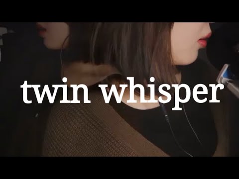 asmr twins whisper & brushing 양쪽귀 단어반복&브러쉬 (hand movements +)