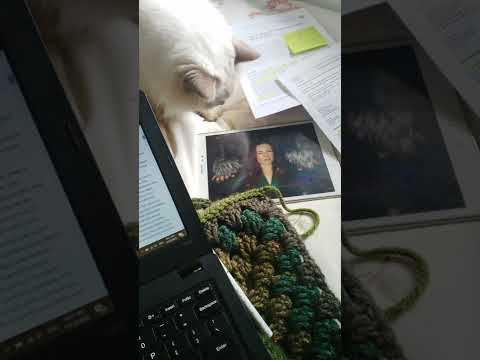 Cat watches ASMR @WhispersRed ASMR