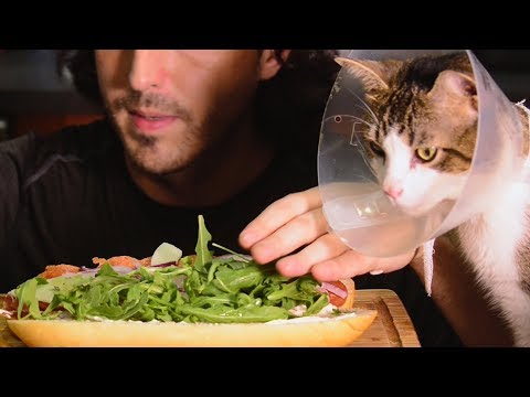 ASMR Pepperoni Prosciutto Sandwich w/ Miso Cat 고양이 + 먹방