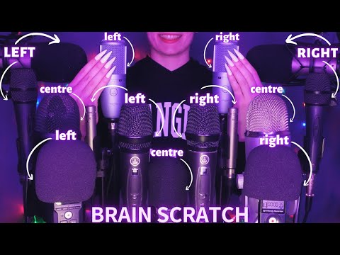 ASMR Mic Scratching - Brain Scratching with 15 MICS🎤| No Talking for Sleep with Long Nails 1H