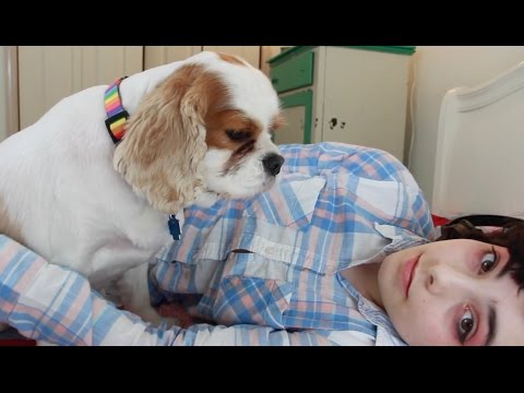 ASMR: Petting My Dog and Talking About My Day