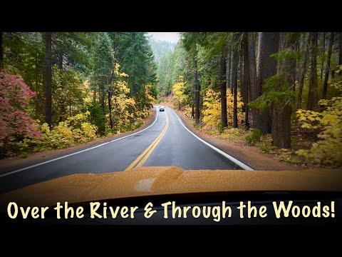 5 glorious minutes in the mountains! Drive with me over Hwy 32 in California going to Chico, CA!