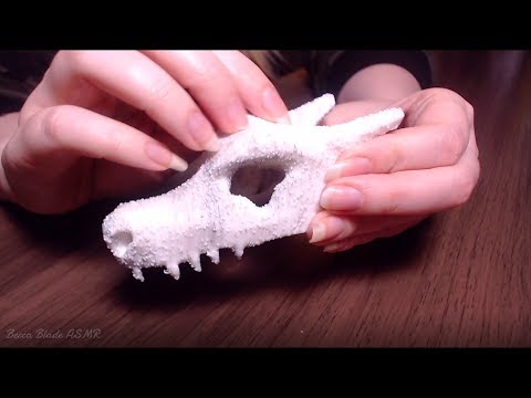 ASMR Scratching Charizard Skull