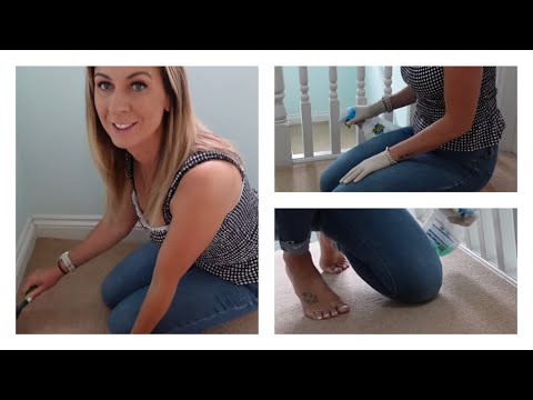ASMR No Talking Sweeping My Stairs Lots Of Brushing Sounds