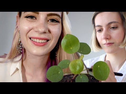 ASMR You Are A Plant! Collab with BehindTheMoons :D | Soft Spoken Personal Attention RP