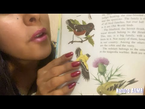 ASMR Librarian Roleplay, Inaudible Reading, Tapping, Page Flipping