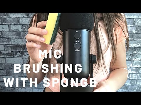 ASMR Microphone Brushing & Scratching With Sponge (No Talking)