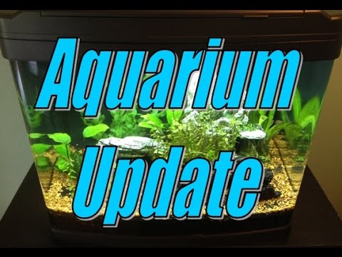 Relaxing Aquarium Update