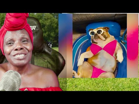 FUNNY DOG COSTUMES REACTION ASMR CHEWING GUM