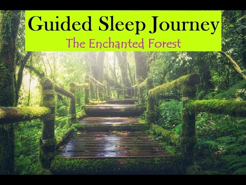 ASMR | Guided Sleep Journey into The Enchanted Forest | Lucid Dreaming | Whispered
