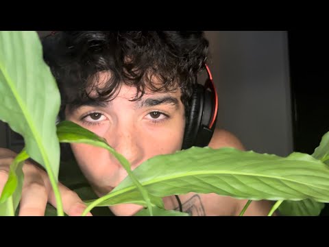 ASMR But You’re My Cute Little Plant 🪴 🌱