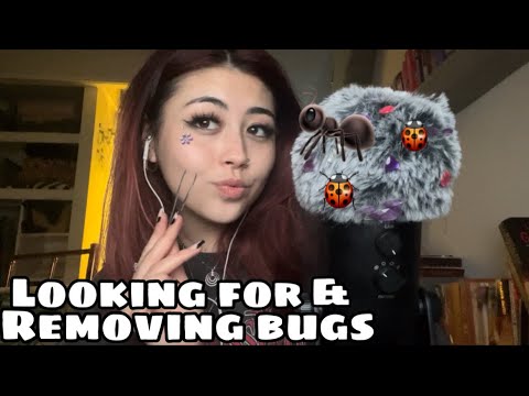 ASMR Microphone bugs searching and removal🐜🐞🎙 (scratching,picking)