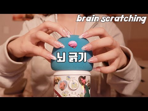[한국어 Korean ASMR] 깊게 뇌 긁기 deep brain scratching (no talking)
