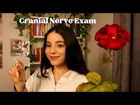 ASMR | Cranial Nerve Exam but with the wrong props