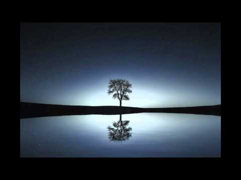 Softly Spoken Guided Relaxation: Forest Moonlight Walk