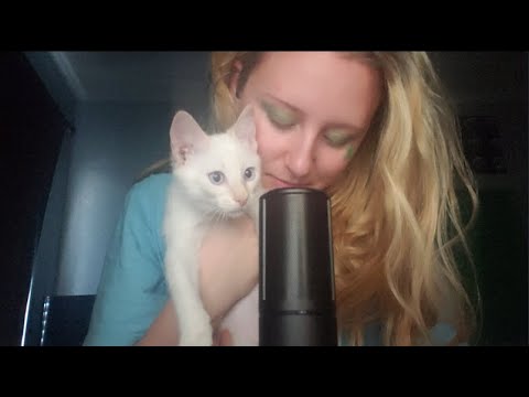 Kitten Purring Sounds and Other Things ASMR ~ Loggerhead ASMR