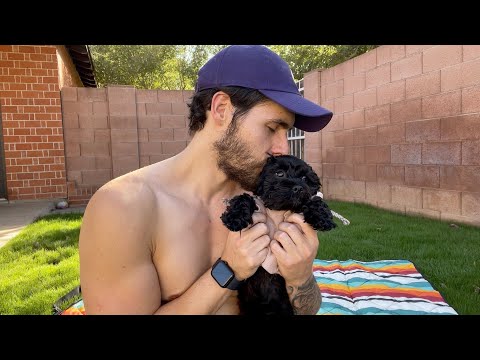 ASMR Kissing My Dogs - Male ASMR And Kissing Sounds