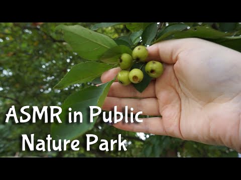 ASMR in Public - Nature Park | Ambient Noise, Gravel, Insect Sounds, Plane, Cars