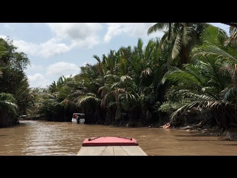 ASMR Canoeing in Vietnam🍃 water sounds, boat sounds