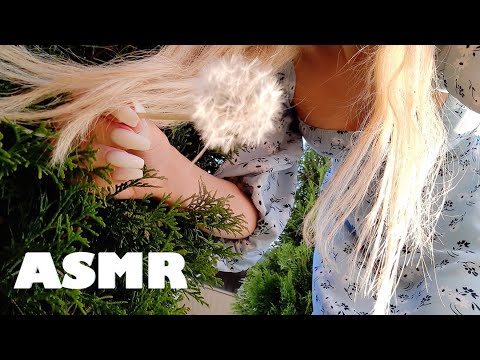 ASMR Outdoor (99 Triggers in the Woods)