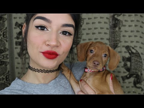 ASMR I GOT A PUPPY! ♡ Whispered & Chewing Sounds