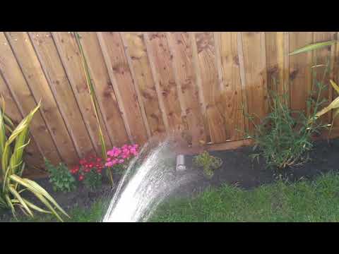 ASMR - Watering the Plants Pt. 2