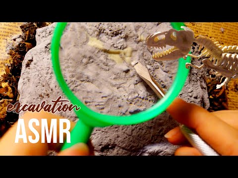 ASMR 🎧Excavation Dinosaur Fossil | Rough and Intense Sounds (No Talking)