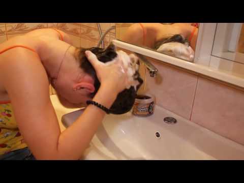 ASMR Hair Washing in the sink | Head Massage