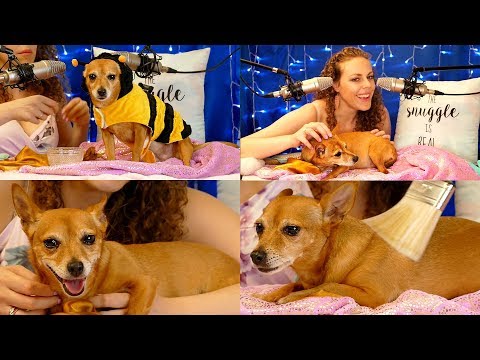 WARNING: CUTENESS OVERLOAD!! ♥ Relaxing Brushing, Scratching & Whispers ♥ Abby's 1st ASMR Spa Day