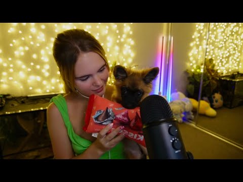 ASMR With My Puppy 🐶 (whispered, tingly…)