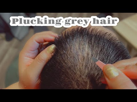 ASMR| Plucking my husbands grey hair (4k Special)