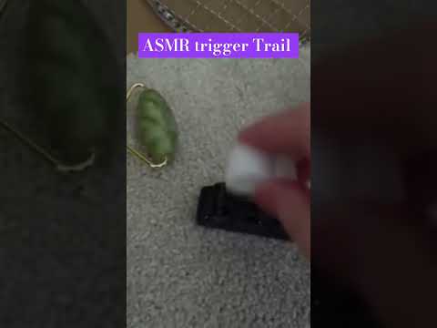 TRIGGER TRAIL ASMR! LETS TRY IT OUT